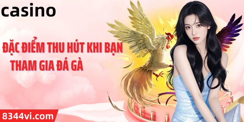 Hình ảnh quảng cáo của ku11 hiển thị nền tảng và các lợi ích