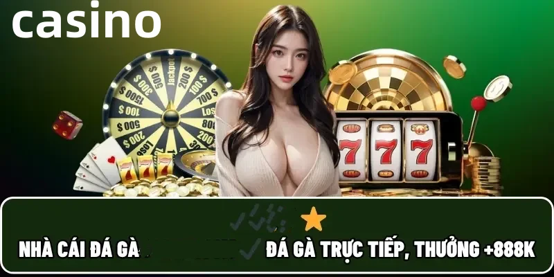 Hình ảnh quảng cáo của ku11 hiển thị nền tảng và các lợi ích
