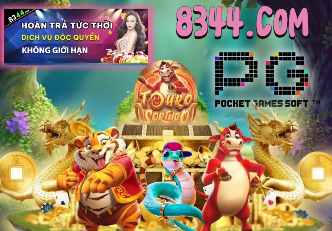 Hình ảnh quảng cáo của ku11 hiển thị nền tảng và các lợi ích